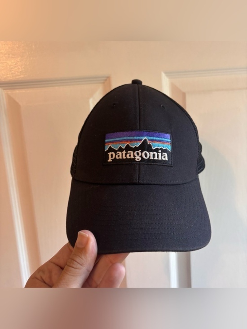 Patagonia Men's P-6 Logo Trucker Hat